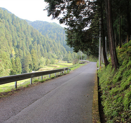 大沢街道