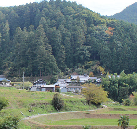 川上地区等の民家と棚田の風景