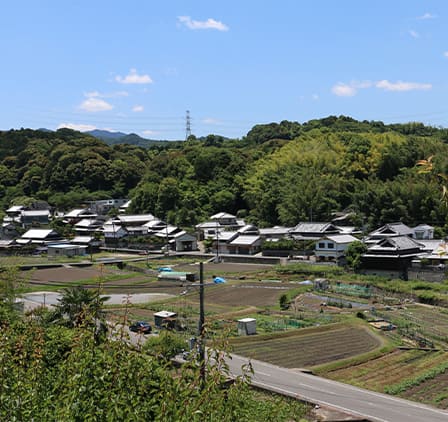 天野谷の棚田の景観